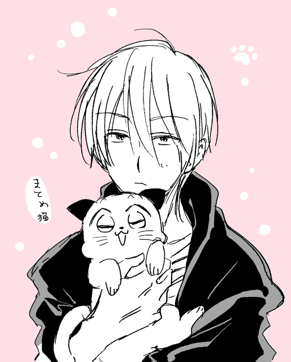一昨日は猫の日だったらしい・・集とまとめ猫 