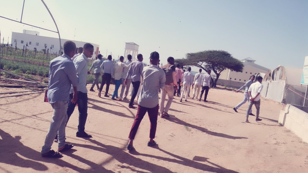 Awale22Mi's tweet image. 