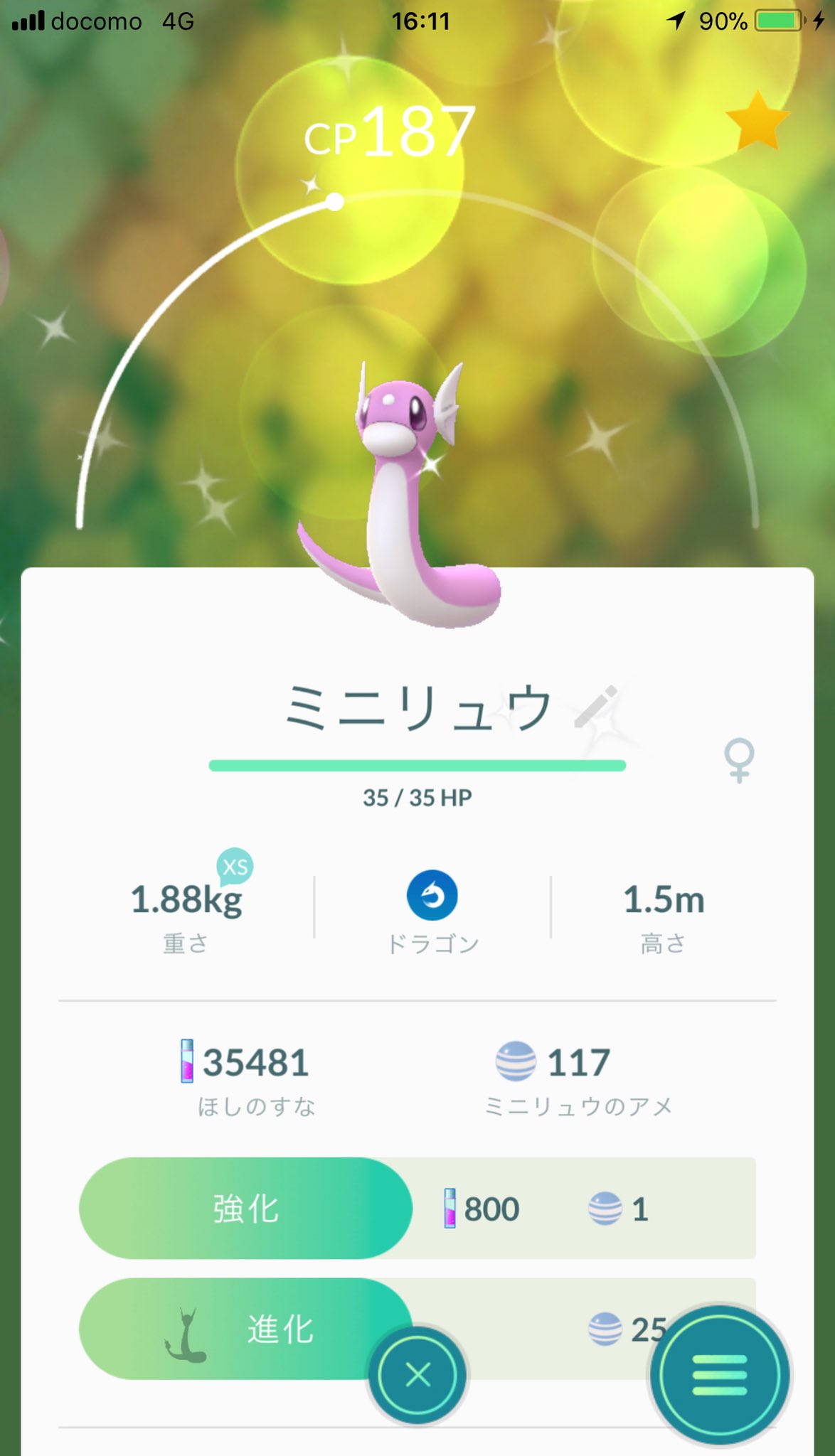 緑のカイリュー Twitter Search Twitter