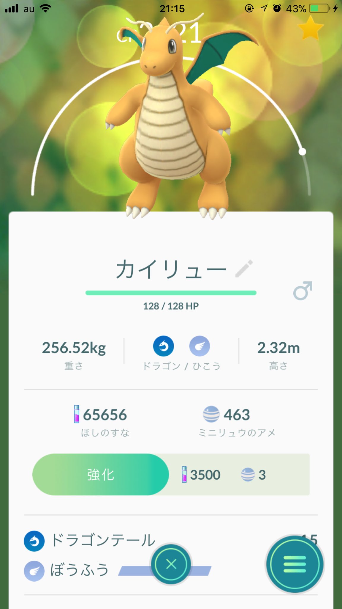 カイリューLV.61 ホロ キラ ポケモンカード はかいこうせん りゅうせい