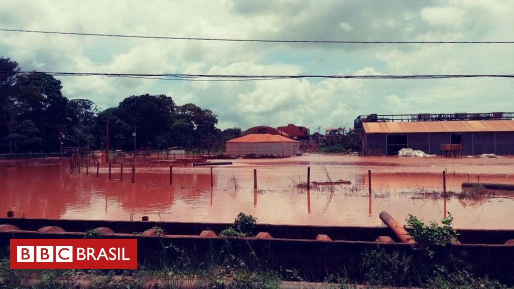 bbcbrasil's tweet photo. Mineradora norueguesa tinha 'duto clandestino' para lançar rejeitos em nascentes amazônicas https://t.co/PcVphbCFdQ https://t.co/WanBff6DmW
