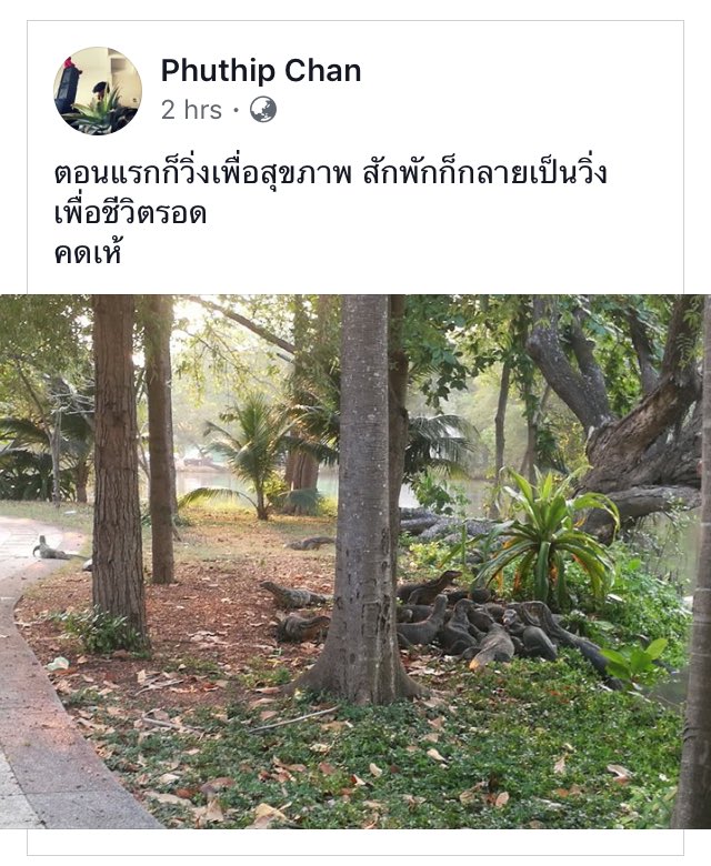 พจล. tweet media