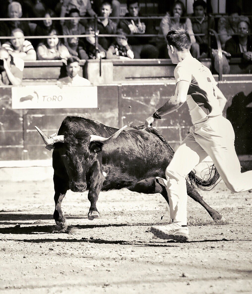 La emoción de los recortadores de anillas. Riesgo y espectáculo en la final del Campeonato de España. Zaragoza 2017. Hoy en Zuera (18:30h) entrega de trofeos de la modalidad de anillas de <a href="/VICMANFP/">Festejos Populares</a> 
P H O T O  |  Carlos Bernabé
#riesgo #tauromaquia #zaragoza #elpilar #sf #smile