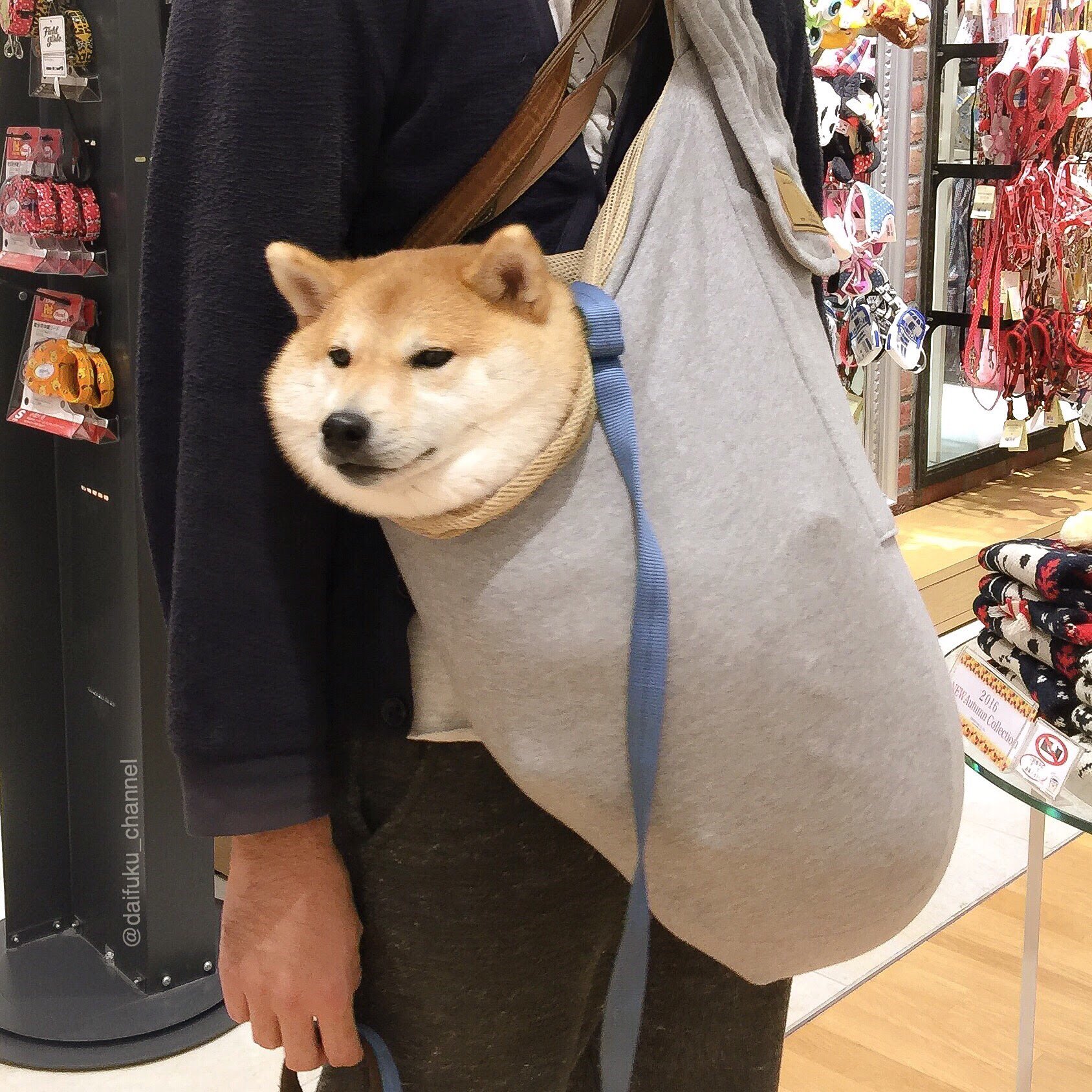 笑ったら寝ろ Twitter Search Twitter