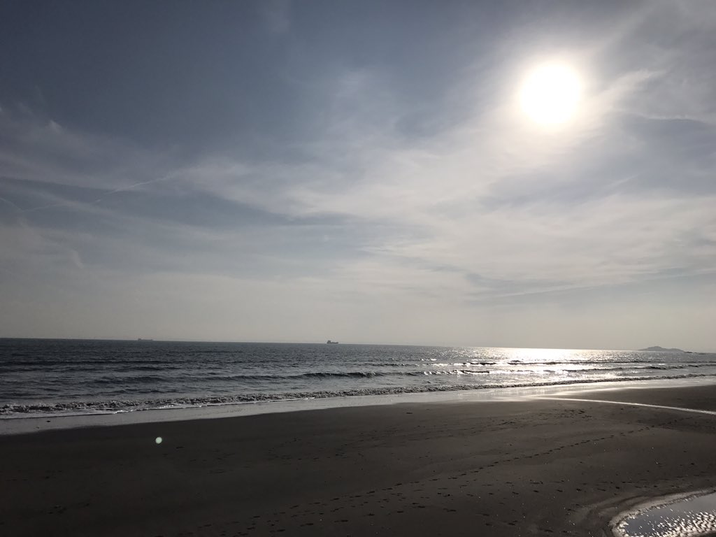 01_stitch's tweet photo. Lovely sunny beach day in Kirkcaldy #proudpanther #warmupjersey #nocoatsneeded @ChrisWhitmore31 https://t.co/ksVR2Jo6fk