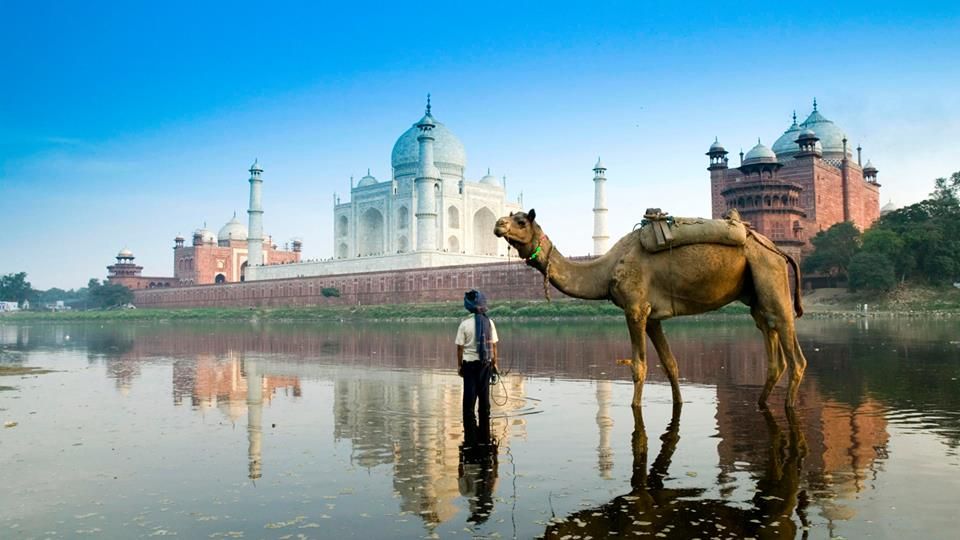 INTERNET_GOD_'s tweet image. “Taj Mahal- Indian Boy and Camel in Yamuna River. Agra. Uttar Pradesh. India.
@SunKuWriter
#SunKuWriter
SunKuWriter.com