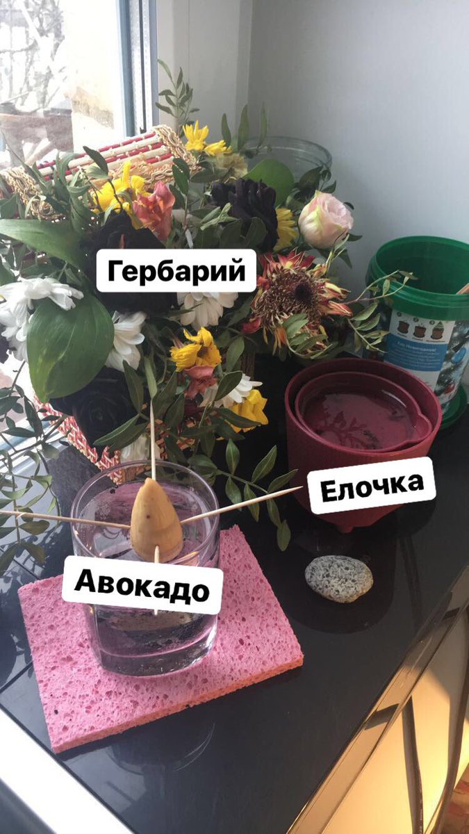 gnomoon's tweet image. 