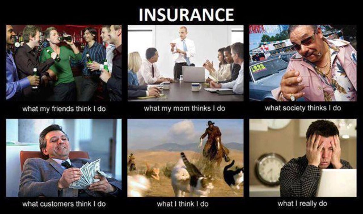 pvisali's tweet photo. Come join the winning team!
https://t.co/h74hHBxaSw
@WeInsureGroup #TeamWE #weheartagents #bestinsurancefranchise https://t.co/xcm2YXycxB