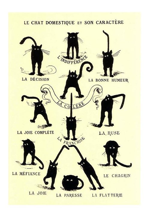 Happy Caturday, whatever your cattitude may be! 
The domestic cat and her character / Le Chat domestique et son caractère, postcard, 19th century. Unknown artist. France. bit.ly/2v4opcW