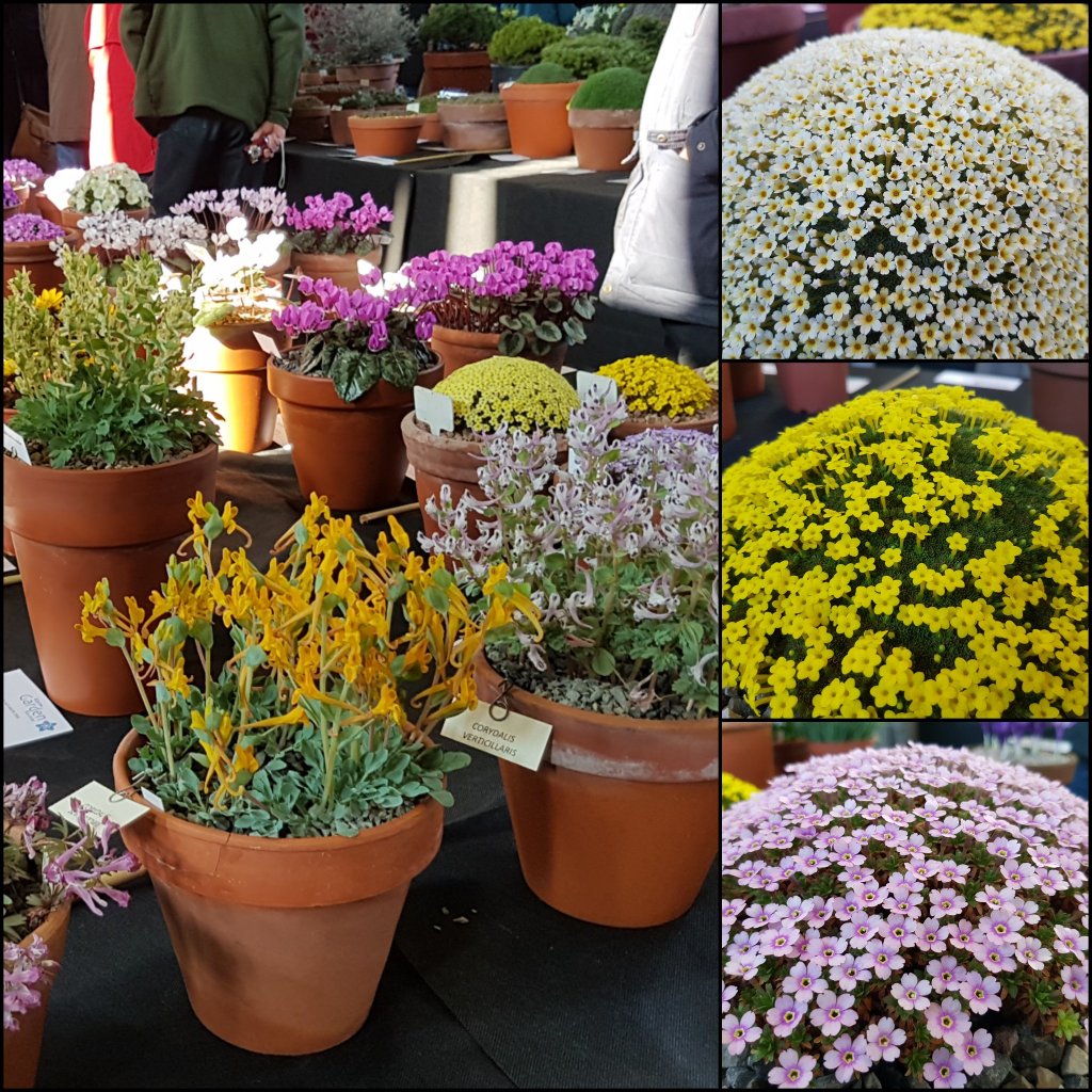 Chris Howell tweet media