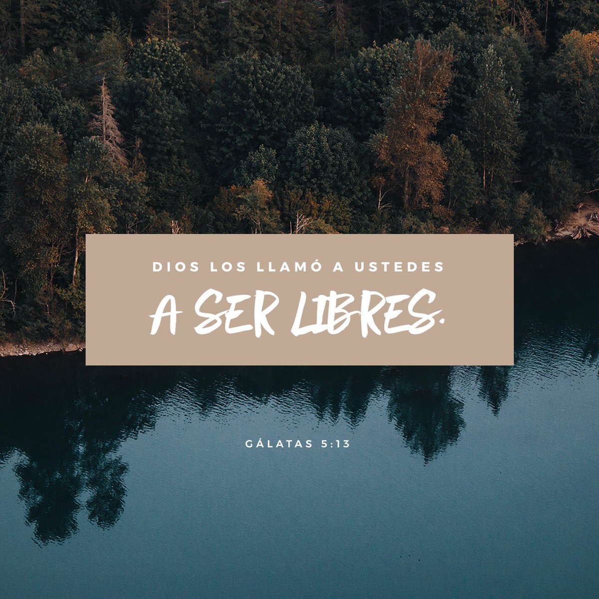 YouVersion_ES's tweet image. 📖 “Porque vosotros, hermanos, a libertad fuisteis llamados; solamente que no uséis la libertad como ocasión para la carne, sino servíos por amor los unos a los otros.”
&amp;lt;&amp;lt;Gálatas 5:13 RVR1960&amp;gt;&amp;gt;

🔗 bible.com/149/gal.5.13.r…

#youversion_es #versiculodeldia #youversion