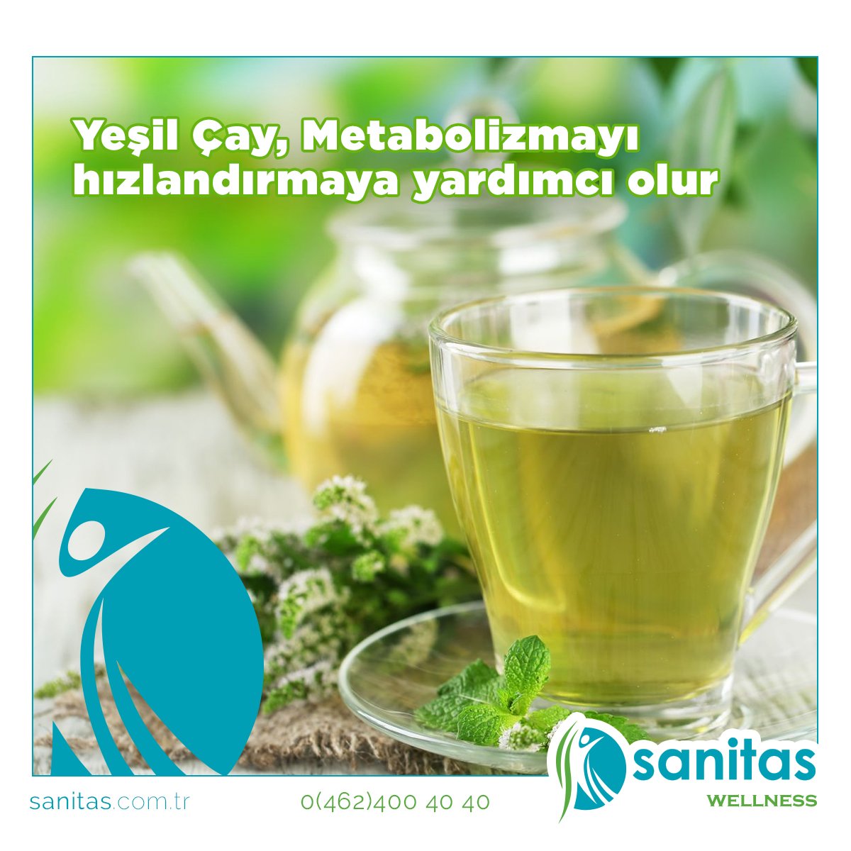 Murat topoğlu metabolizma hızlandırıcı çay Murat topoğlu metabolizma hızlandırıcı çay