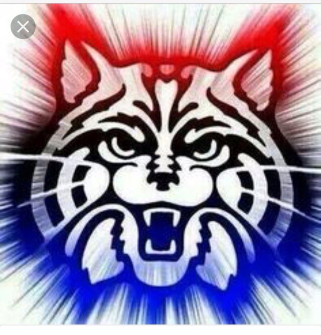 ArcadiaTavern's tweet photo. Congratulations #UofA! #BearDown https://t.co/mOdoQjIvfy