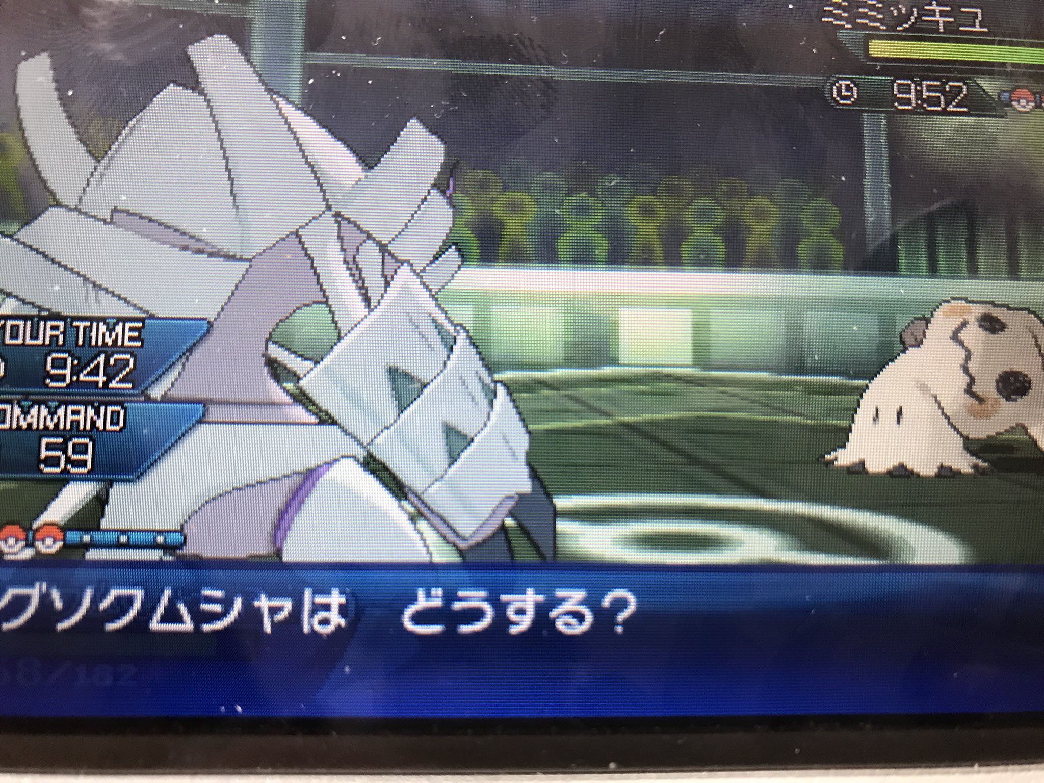 紅羊 りょうが ぬしミミッキュでっか ポケモンusum ぬしポケモン T Co 9hrtim3r53 Twitter 紅羊 りょうが ぬしミミッキュでっか ポケモンusum ぬしポケモン T Co 9hrtim3r53 Twitter
