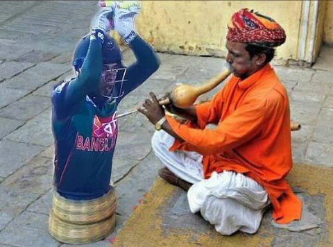 View image on Twitter