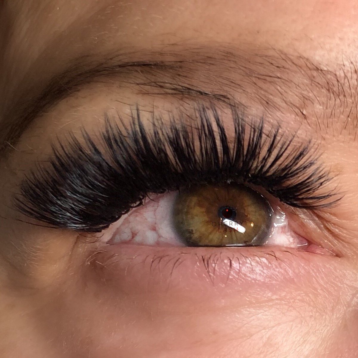 Cherry_Lash's tweet photo. 🍒🍒•
•
•
#lashobsessed #obsessed #lashlife #lashextensions #WhyICherryLash #vegaslashes #lashesonfleek #cherrylife #lashvegas #lasvegas #lashgoals #lashaddict
#LashWithCherry #lashlove #volume #fluffy #meme #funny #lashjokes https://t.co/AR6y5b8yIb