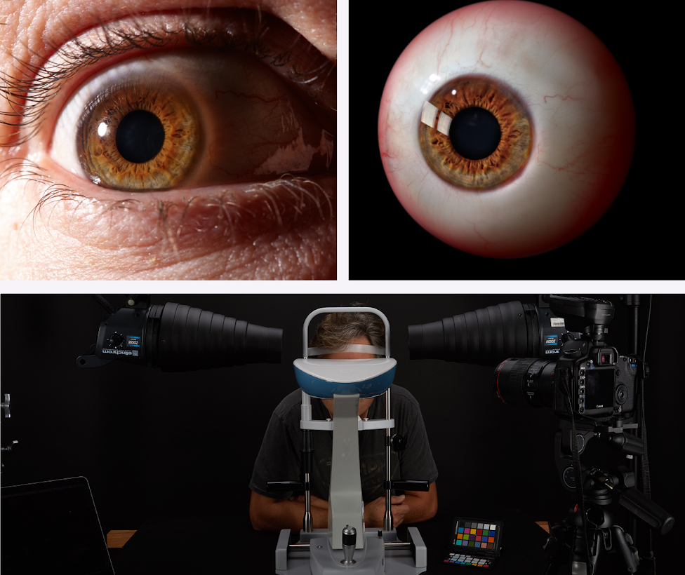 transfolio tweet media