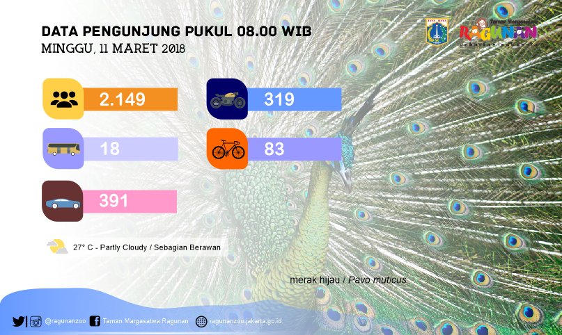 Data Pengunjung Pukul 08.00 WIB ( Minggu, 11 Maret 2018 ) |<a href="/TMCPoldaMetro/">TMC Polda Metro Jaya</a>