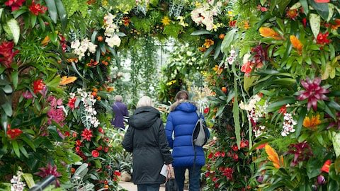 bucketlistsarah's tweet photo. Guess what?! One of my 50 experiences is to visit 5 UNESCO sites and turns out @kewgardens in Richmond is a) such a site and b) has an amazing Thailand-inspired orchid event finishing today! Would be rude not to go! #kewgardens #richmond #bucketlist https://t.co/CQs5MS4Spk