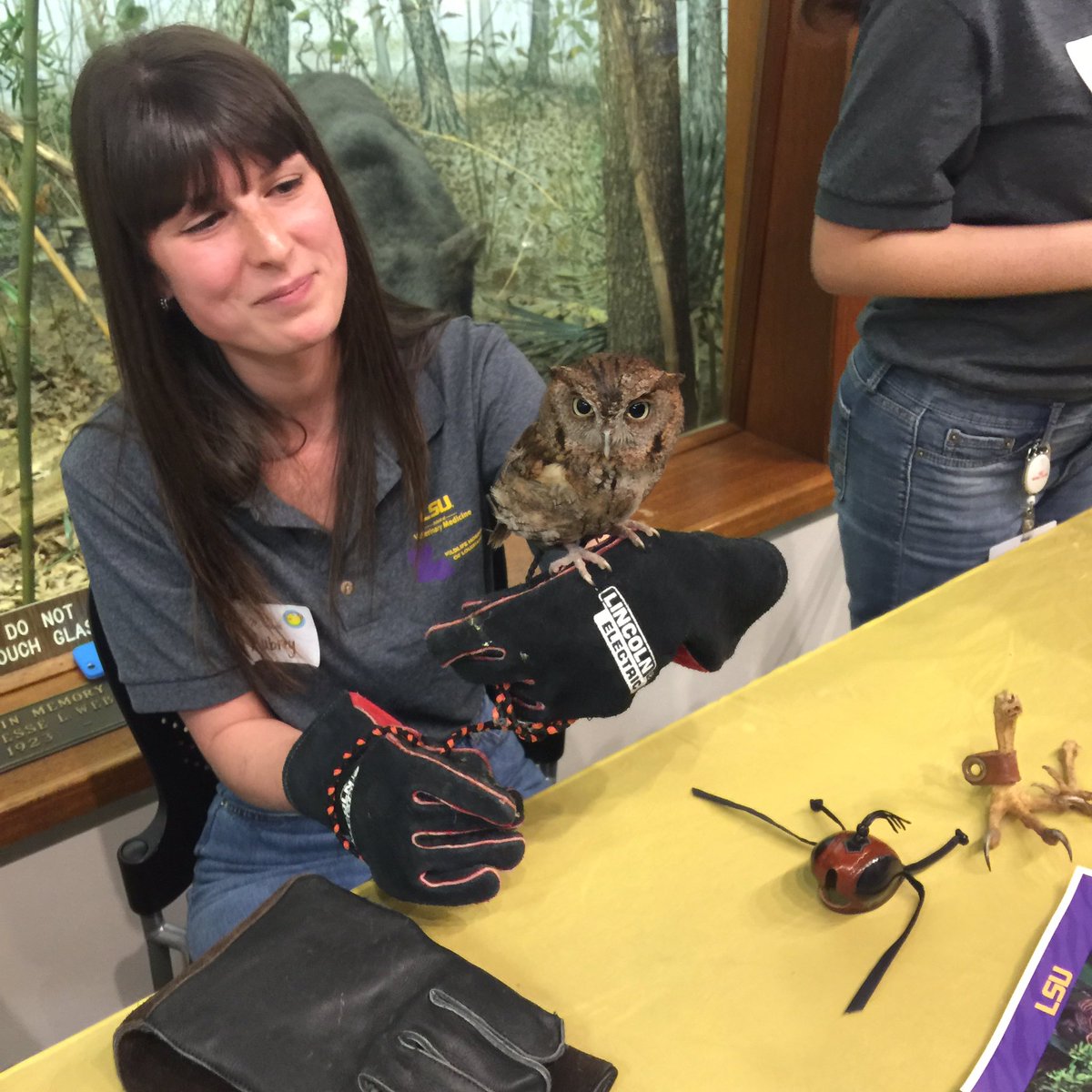 craftychickLA's tweet photo. Girls Night at the Museum was amazing!! Our girl is still psyched a day later! Great job, everybody! @lsuscience #chasingscience #geauxscience #stem #liquidnitrogenftw #cutestowlever https://t.co/NTqPm3oUTi