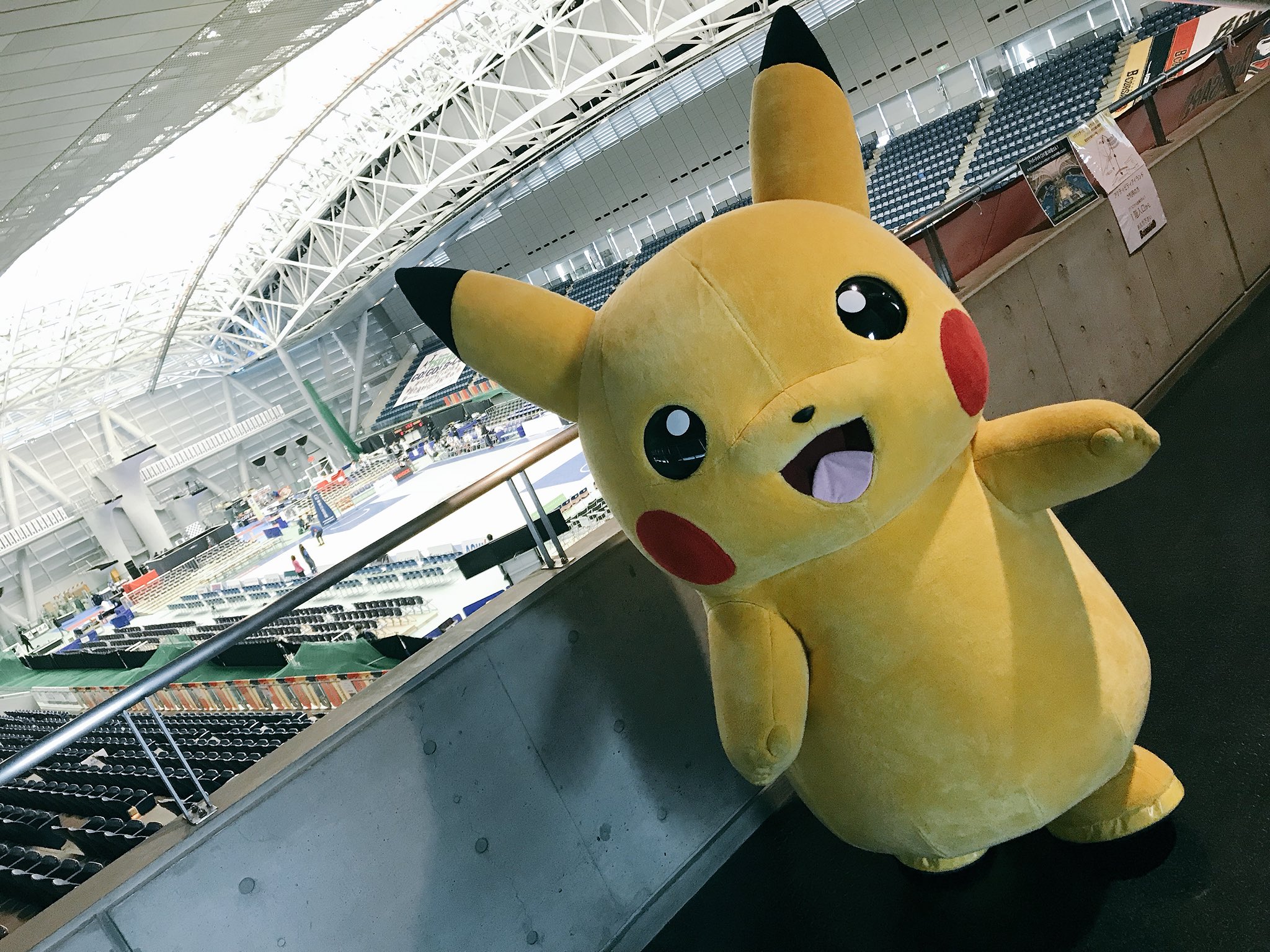 横浜ビー コルセアーズ ピカチュウが横浜国際プールに遊びに来てくれたよ これからお外で写真撮影会です ピカチュウ ピーコル T Co Aqnwv4booh Twitter