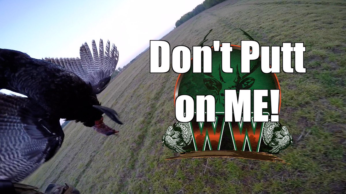 WWoodsmen's tweet photo. When the turkey starts putting...BANG! WATCH: https://t.co/tFtlH0cLnl
#beatthegrind #theputtstopshere
#springturkeyhunting #turkeyhunting #huntingfun #longbeard #avianx #avianxdecoys #turkeyputt #turkeyhuntingvideo #youtuber #huntingvideo #thebestthingsarefree #springhunt #spring https://t.co/btC5FRvpDN