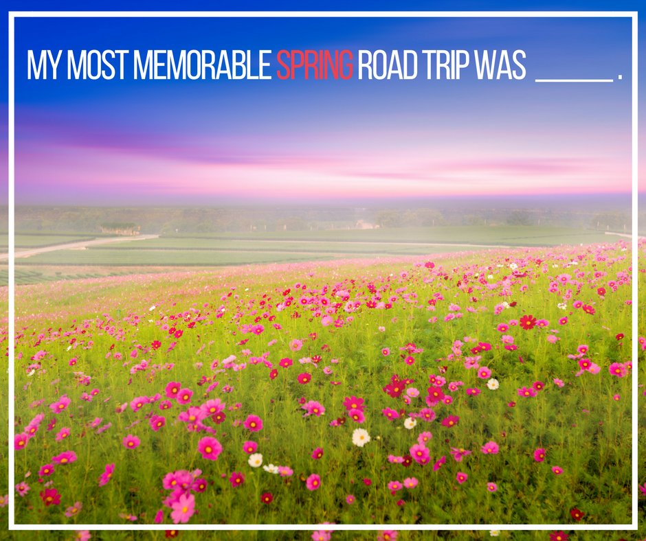 StanMcNabbAuto's tweet photo. From day trips to cross-country trips - there's so much to explore in Tullahoma and beyond. 

'FILL IN THE BLANK' 

My most memorable spring road trip to date was _________ . https://t.co/qx4pf48o4k