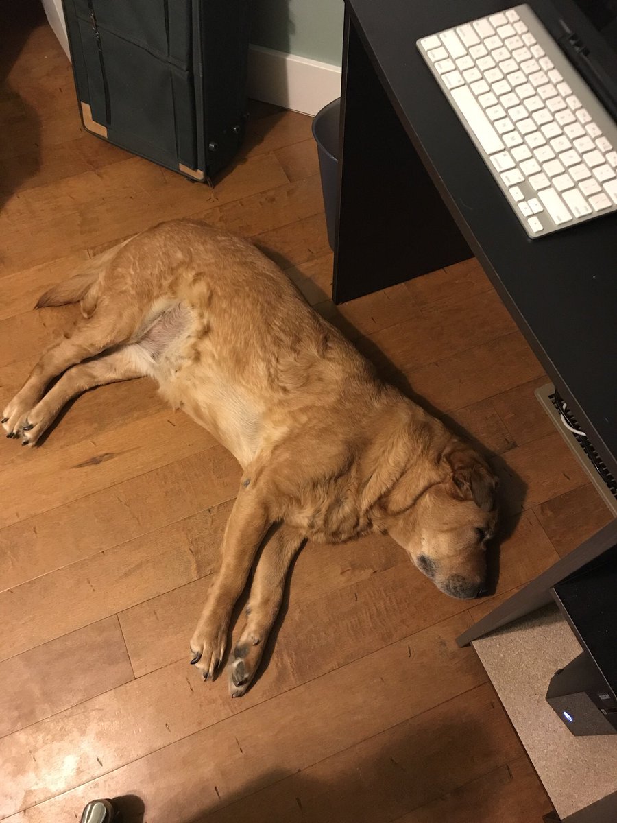 MANGAKrAfter's tweet photo. @stampylongnose The names vixen. READ IT AND WEEP!😎 https://t.co/oWyujLoDox
