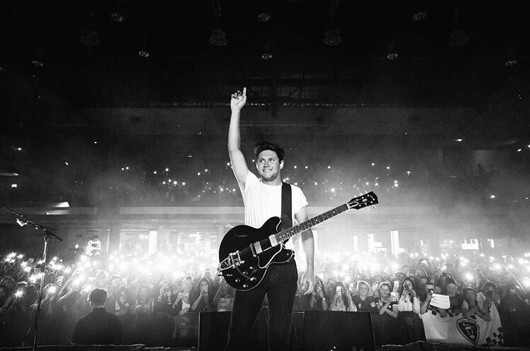 sftniall's tweet photo. after all these years i can finally tell you, @NiallOfficial, this: see you in bologna, my love!! #flickerworldtour https://t.co/M7zvJZ0Riz