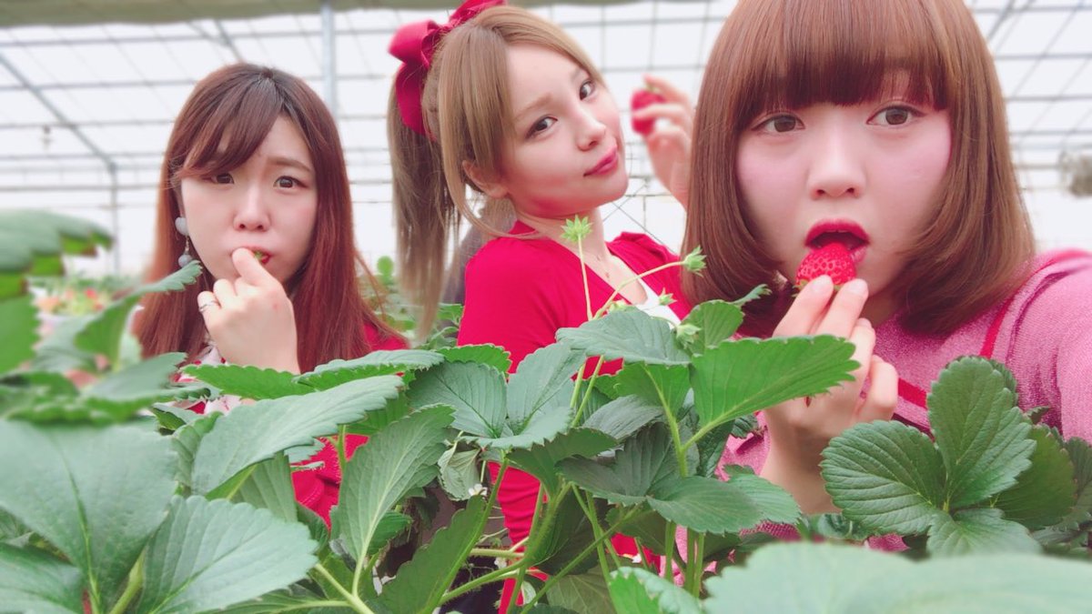 h__ters's tweet photo. ドレスコードは赤❤️
いちご大きくて甘くて幸せでした〜🍓
ゆうこさんが朝から並んで来てくれました🚲感謝🙇‍♀️ https://t.co/Ud37tTmRGI