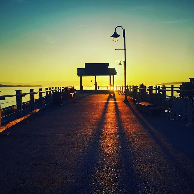 SongsbyTheresa's tweet photo. Now I could sit here for the evening and do some writing....
#songsbytheresa #songwriterslife #musicforthesoul #bcmusic #rootsmusic #songwritingwoman #folkieme #coastalliving #saturdaysunset #writeallday https://t.co/PxRjY5m7Z4 https://t.co/xrTC1UQrrC