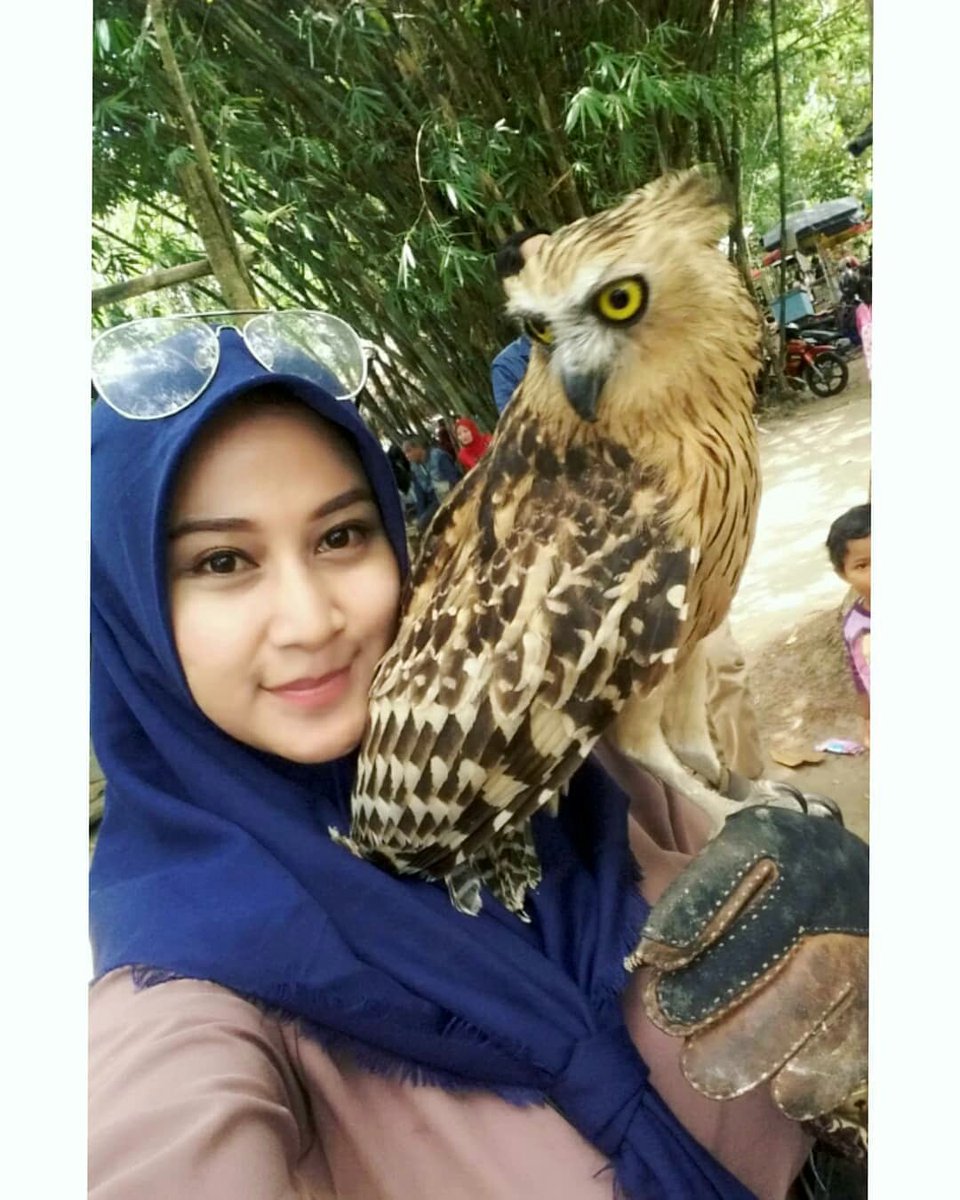 burung sebesar apapun takluk di tanganku, guyon loh ojok serius wae 😂