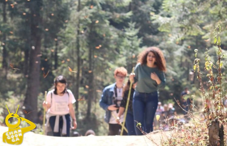 Changoonga.com tweet media