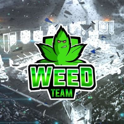 LigaRG_'s tweet photo. 11° equipo en entrar @TeamWeed_CR https://t.co/AoFsIPDn03