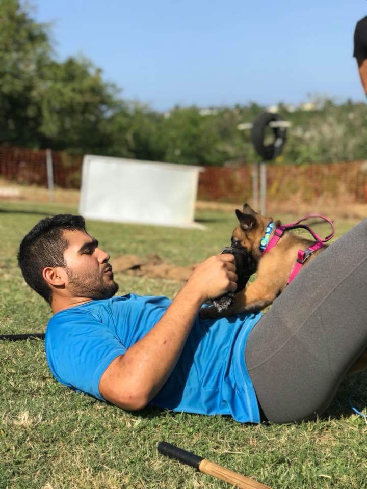 InsomniaKennel's tweet photo. Oliver "Oli" Von Insomnia (Vohne Liche x PR Lines). 

Doing some conditioning work with Level 2 French Ring Decoy Jorge Lara

9 weeks old.

Photo by Rafael Hernandez

#maligator #belgianmalinois #pastorbelgamalinois #malinois #frenchring #ringfrances #escuelacaninadearecibo https://t.co/XFT0XEY9w9