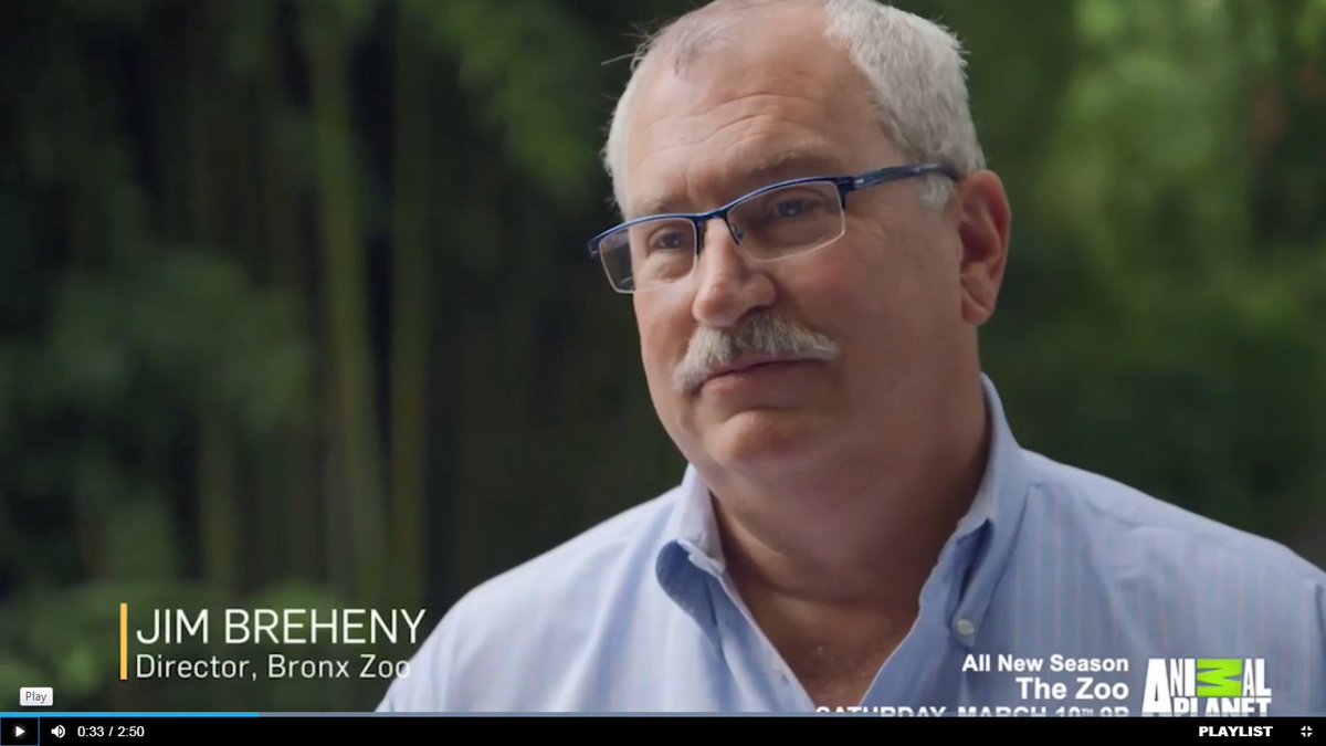 WCSNewsroom's tweet photo. Thank you @BronxZoo @JimBreheny for bringing back @AnimalPlanet THE ZOO! We loved tonight's premiere episode. And we love Dave! #InsideTheZoo https://t.co/xxvKhucJDy