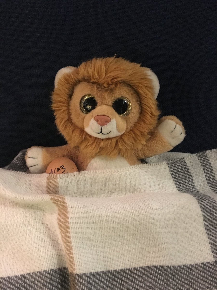 AlcatrazAngelz's tweet photo. Found a good old Costa seat to pitch up for the night so it’s a good night from the Alcatraz Angelz, Leo and a very cosy Benedict :) #jailbreakCUSU https://t.co/vEK0TzkupK
