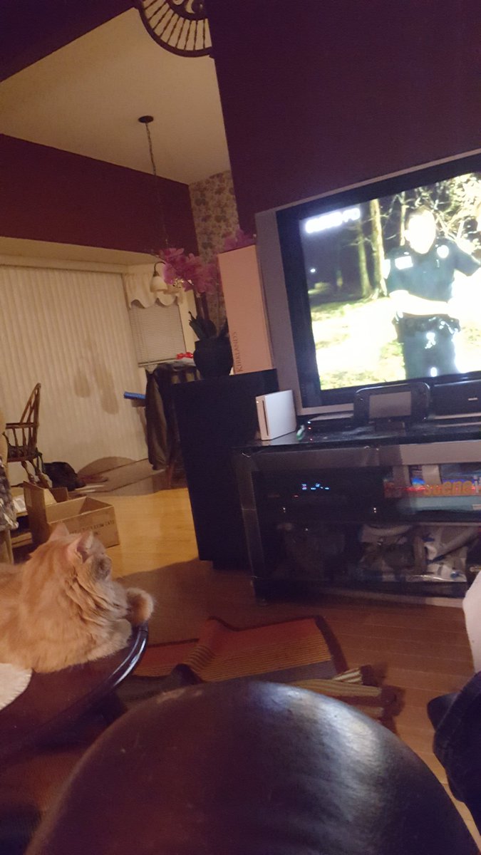 My kitty watching #LivePD ❤