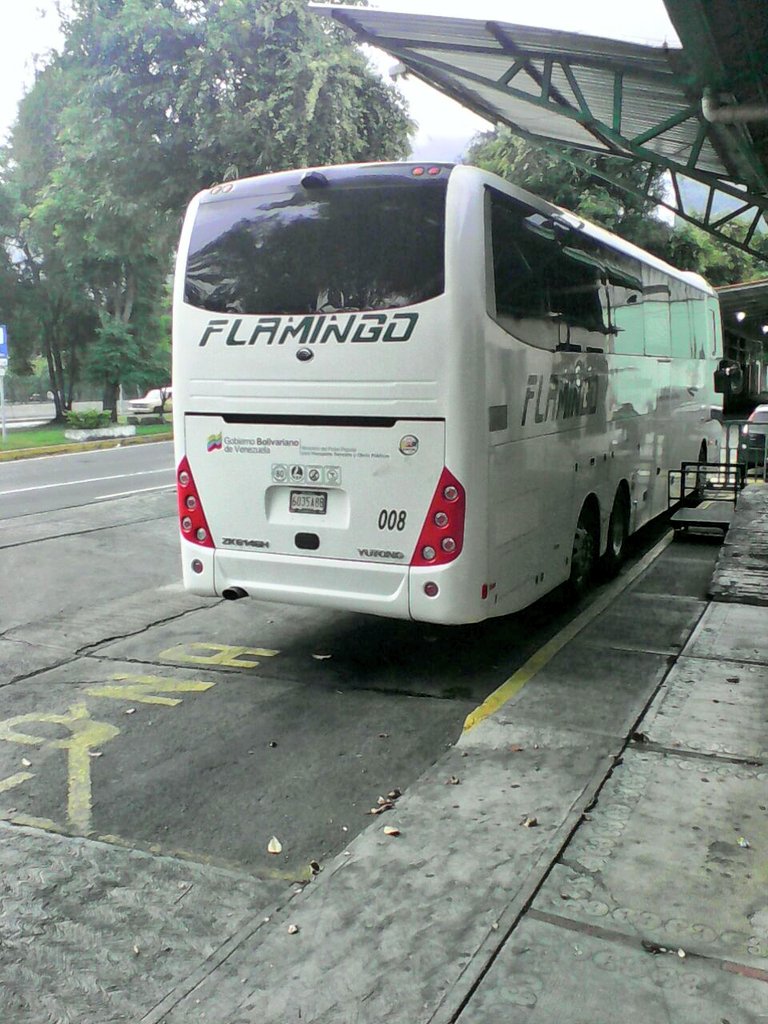 busesamericasur's tweet photo. Fotos que nos envían nuestros seguidores #pasion #busologia #busvenezuela #flamingo https://t.co/ojytxJfHry
