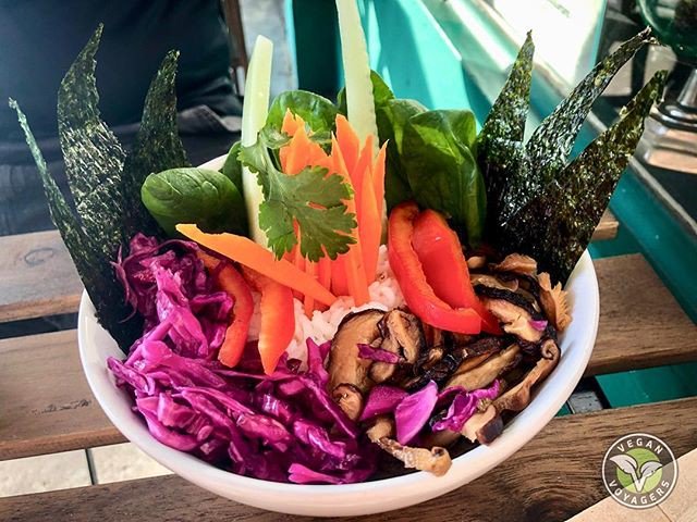 vegsage's tweet photo. Reposting @veganvoyagers: - via @Crowdfire 
The shiitake bowl from Love Food Central In St Petersburg, FL was fabulous! It packed a lot of flavor, plus it was a really pretty dish!
.
.
.
.
.
#vegan #govegan #goveg #veganfood #whatveganseat #crueltyfree #crueltyfreefood https://t.co/e3bZoU3C5W
