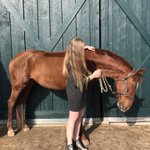 Photo by AMB Eventing (@AMB_eventing)