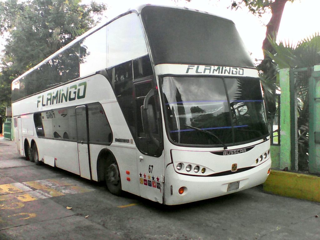 busesamericasur's tweet photo. Fotos que nos envían nuestros seguidores #pasion #busologia #busvenezuela #Archivo #flamingo https://t.co/gFrK9kIeVA