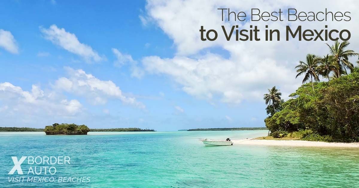 XBorderAuto tweet media