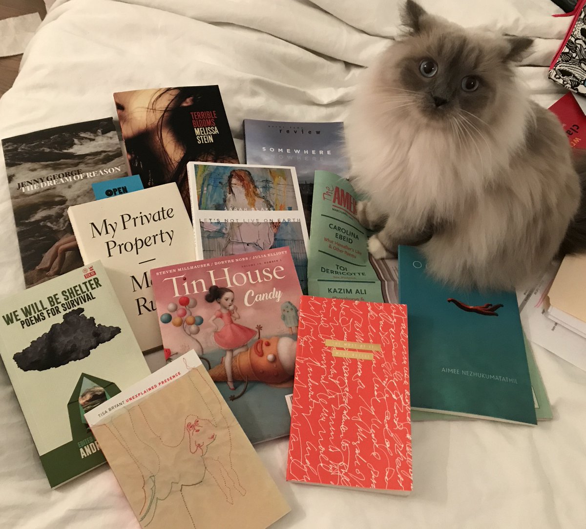webbish6's tweet image. My non-AWP #AWPhaul with Sylvia and first cherry blossoms of Seattle in March (thank goodness for a little spring sunshine today!) @LiteraryKittens #AWP2018 #AWPhaul @Tin_House @CopperCanyonPrs @WavePoetry