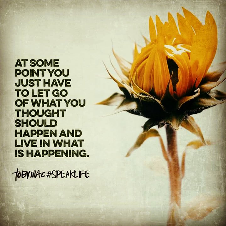 kellikingrey's tweet image. 