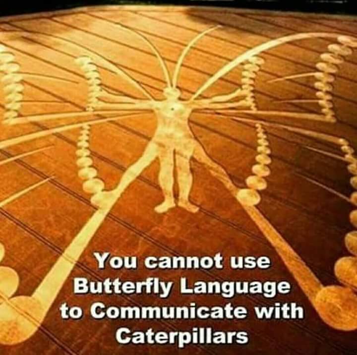 Nimisha26894791's tweet image. .#Reminder ❇ #shiftishappening #holyshift #knowthyself #starseed #empath #lightworker #5thdimension #newearth #gaia