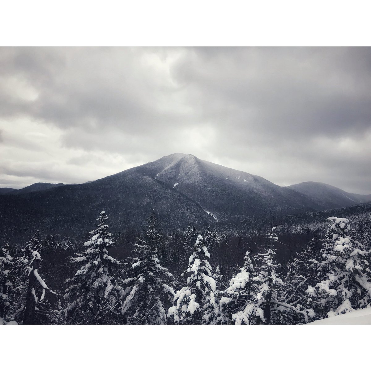 _Ginny4's tweet photo. Snowshoe hiked up potash mountain and had some sweet views of the Sandwich Range in NH here’s a great one of Passaconaway #hikenh #snowshoeing #whitemountains #getoutside #views #ilovenh #nh #outdoors #winter #snow https://t.co/iv7UbB4wxZ