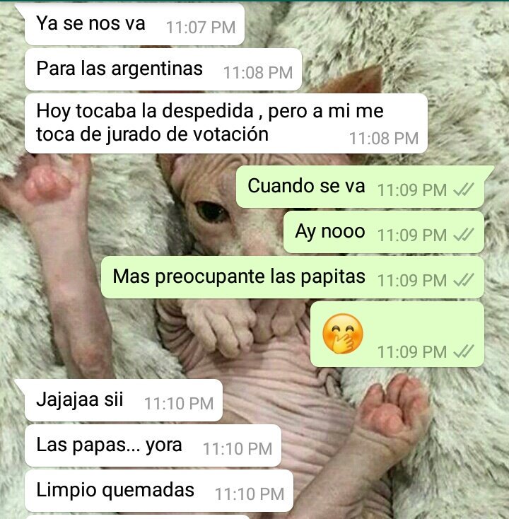 LisaQuinteroS's tweet photo. Jajjajajaj mas preocupante las papitas que hace mi super #Valebria que haremos sin ella😢 bizcochaaaa este año sera eterno son ti bb😩😩😢😢😢 https://t.co/hXwAsShPbC