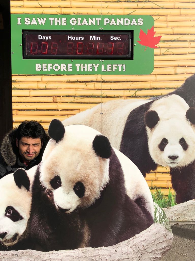 trivedi_jaimin's tweet photo. Had a chance to visit one of the most adorable creatures for the second time #Panda at @TheTorontoZoo. Indeed #breakingupishard https://t.co/ysbNS1zako
