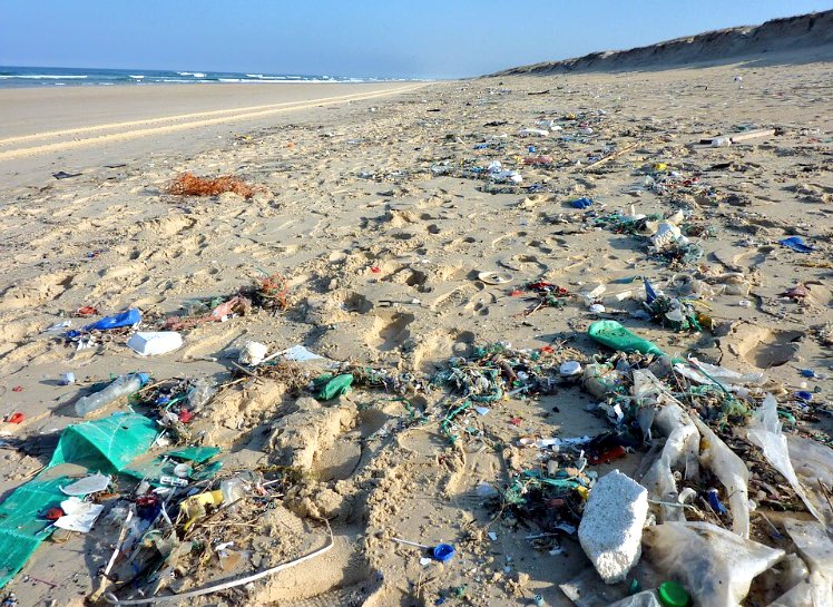 Onelesspieceofplastic tweet media
